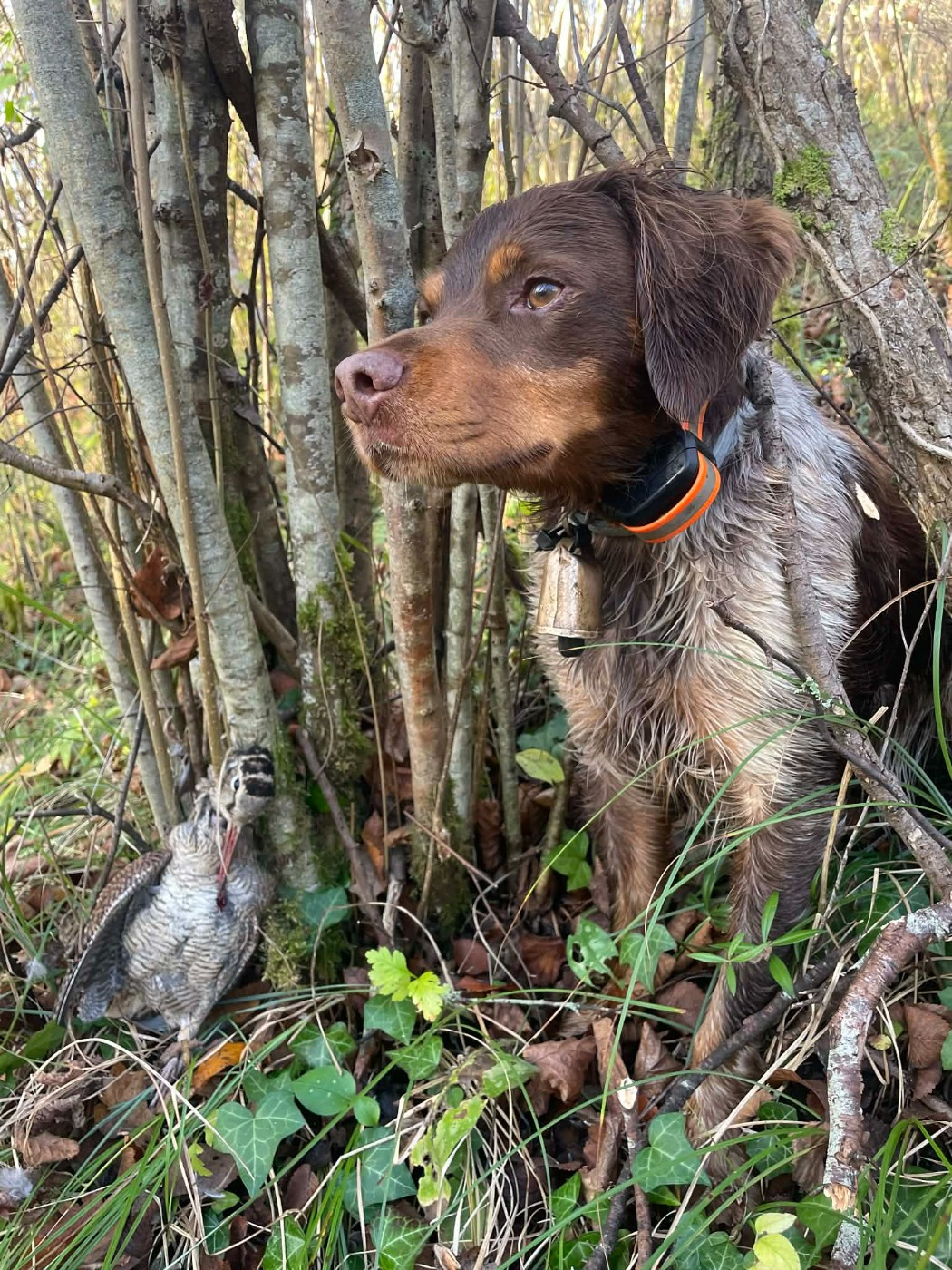 PLATON DE KERANLOUAN de keranlouan