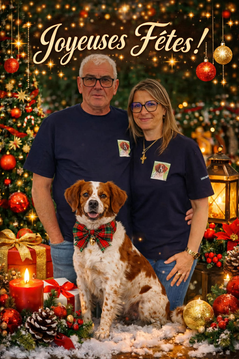 des hautes pousterles - JOYEUSES FETES